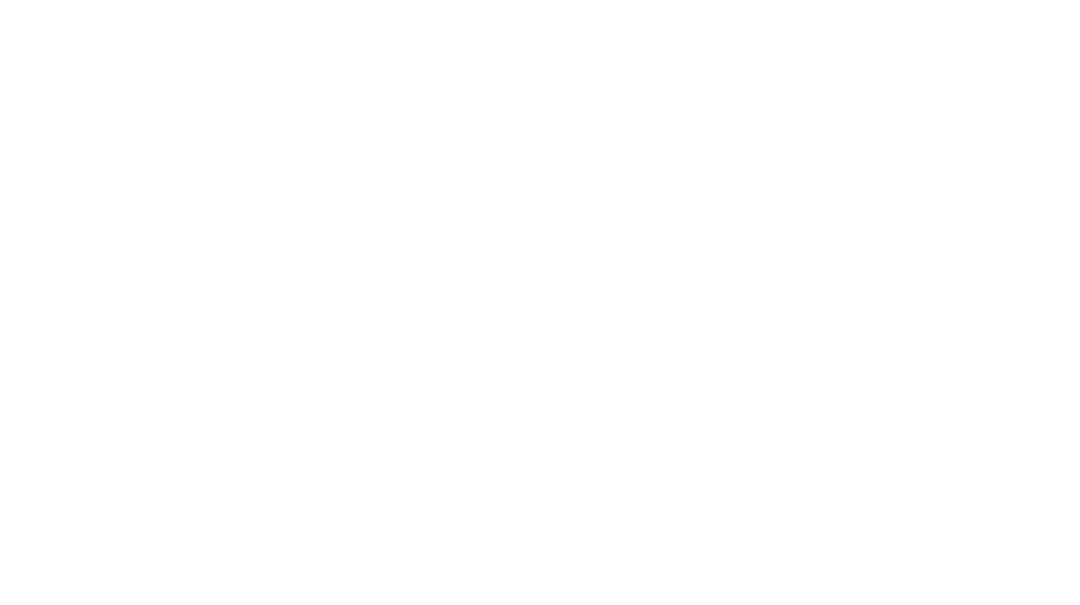 silwy® Magnetic System