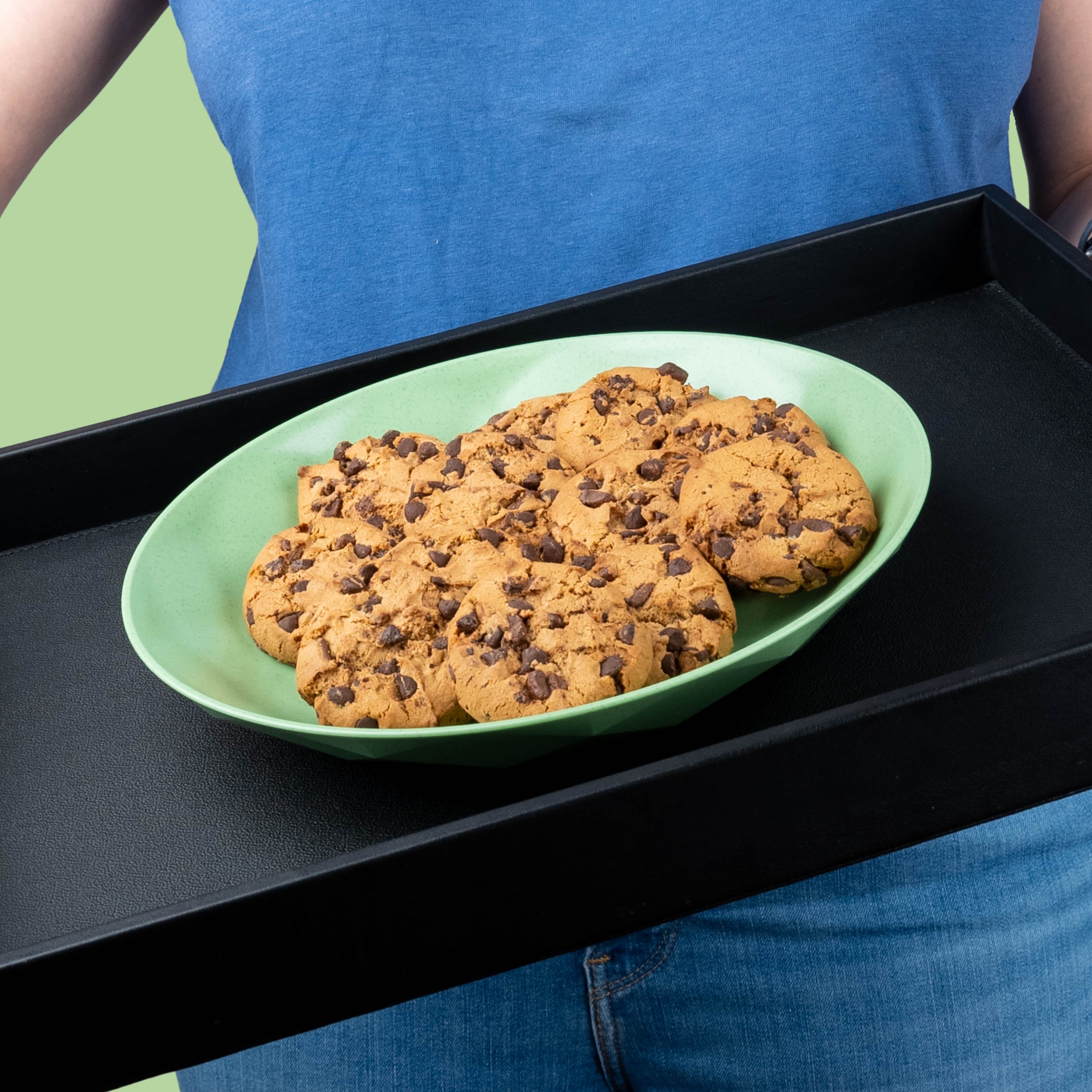 Magnetic plastic plate is held in place by a metal tray