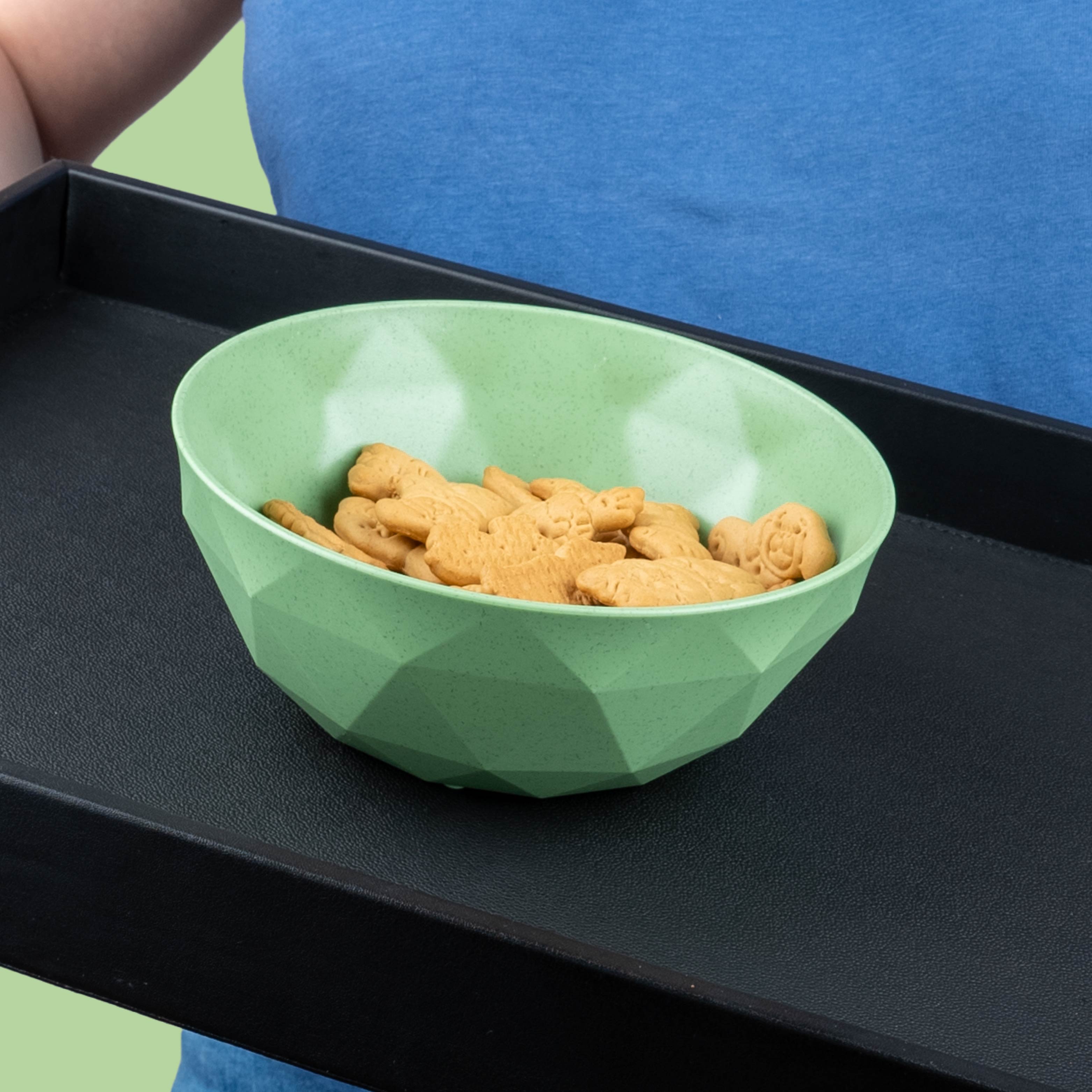 Magnetic plastic bowl fixed in inclined position by metal tray