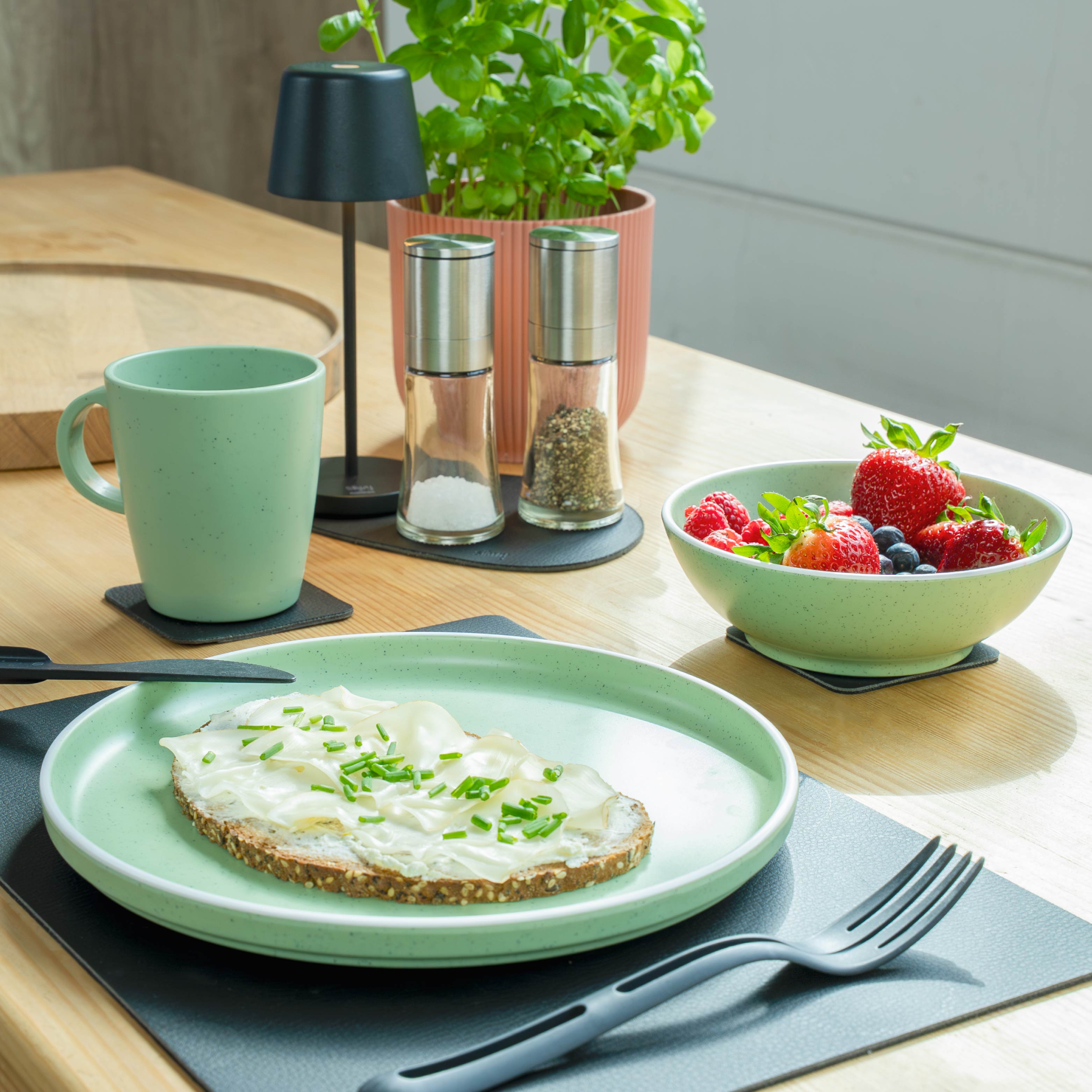Vajilla de plástico magnética mesa de cocina green