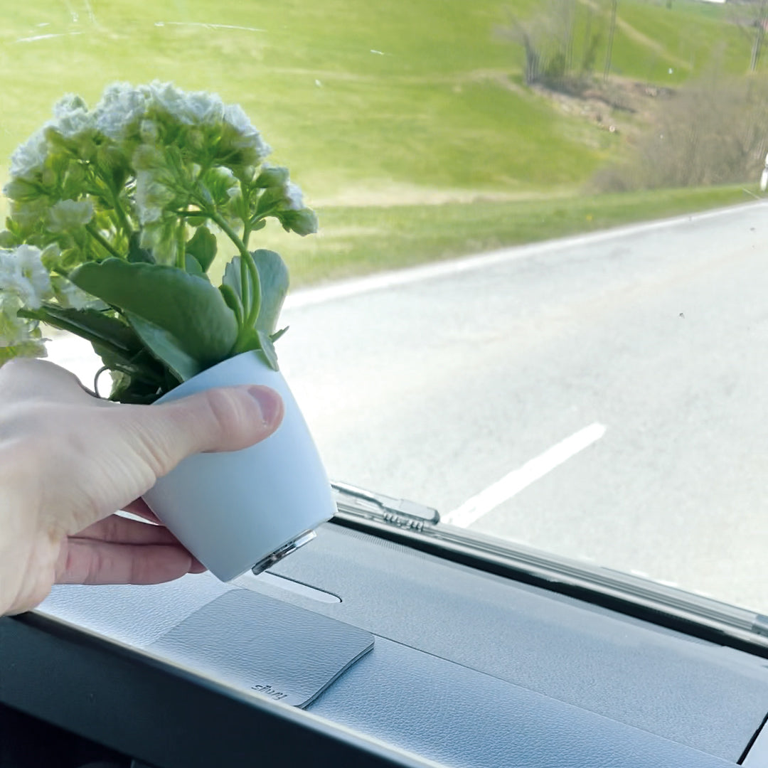 Pianta con magnete attaccata alla parte inferiore dell'auto