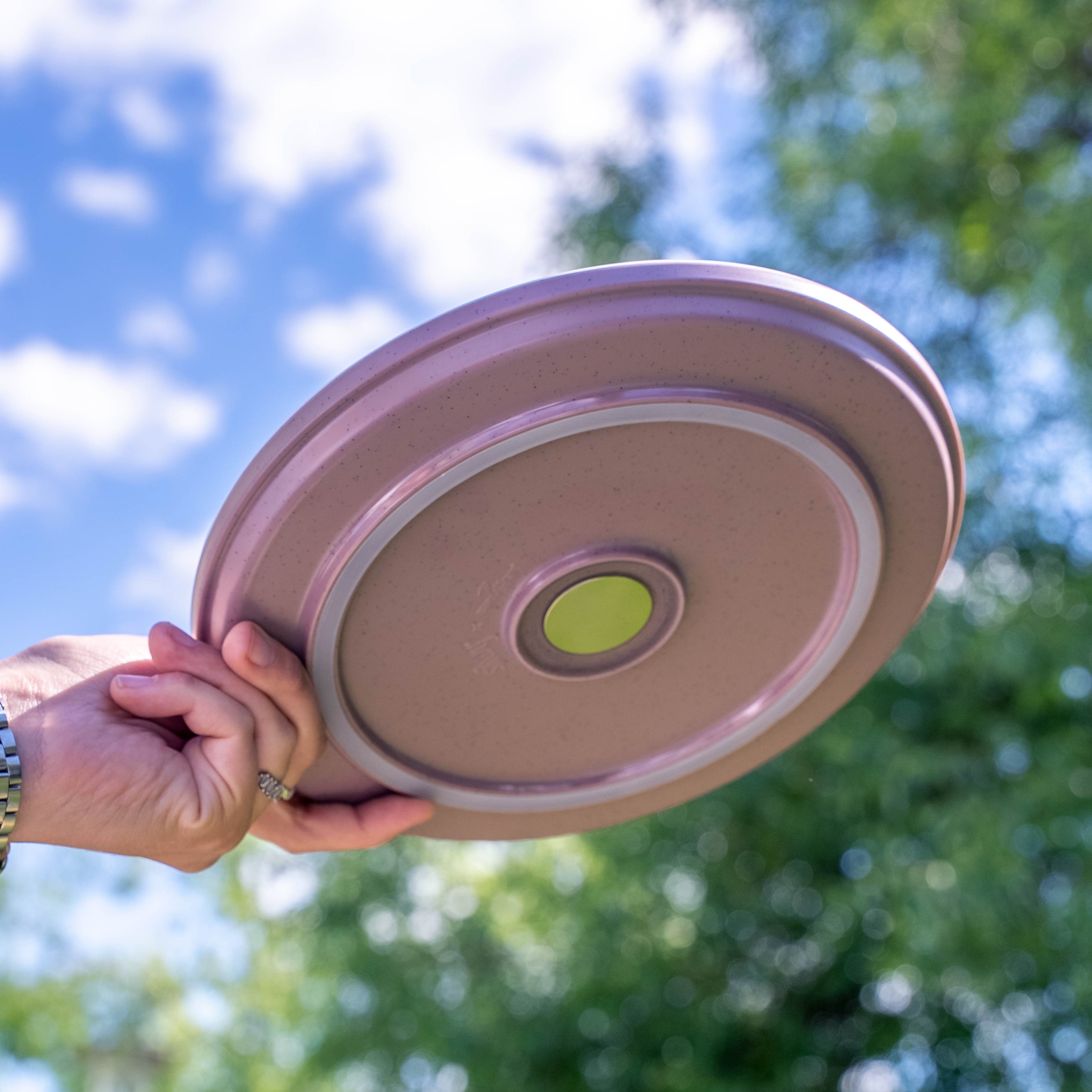 Il disco magnetico di plastica rose dal basso