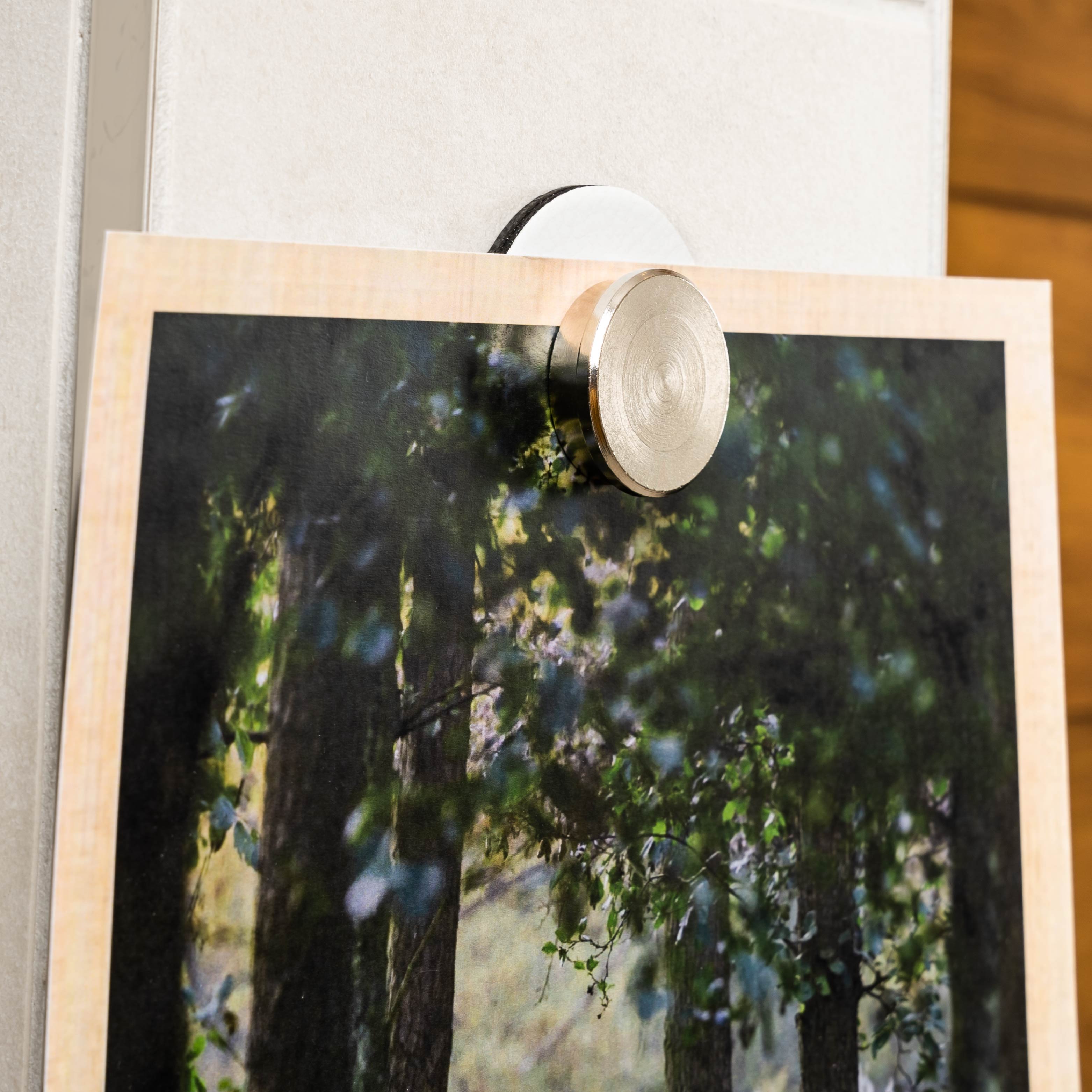La cartolina è tenuta in posizione da un perno magnetico e da un tampone