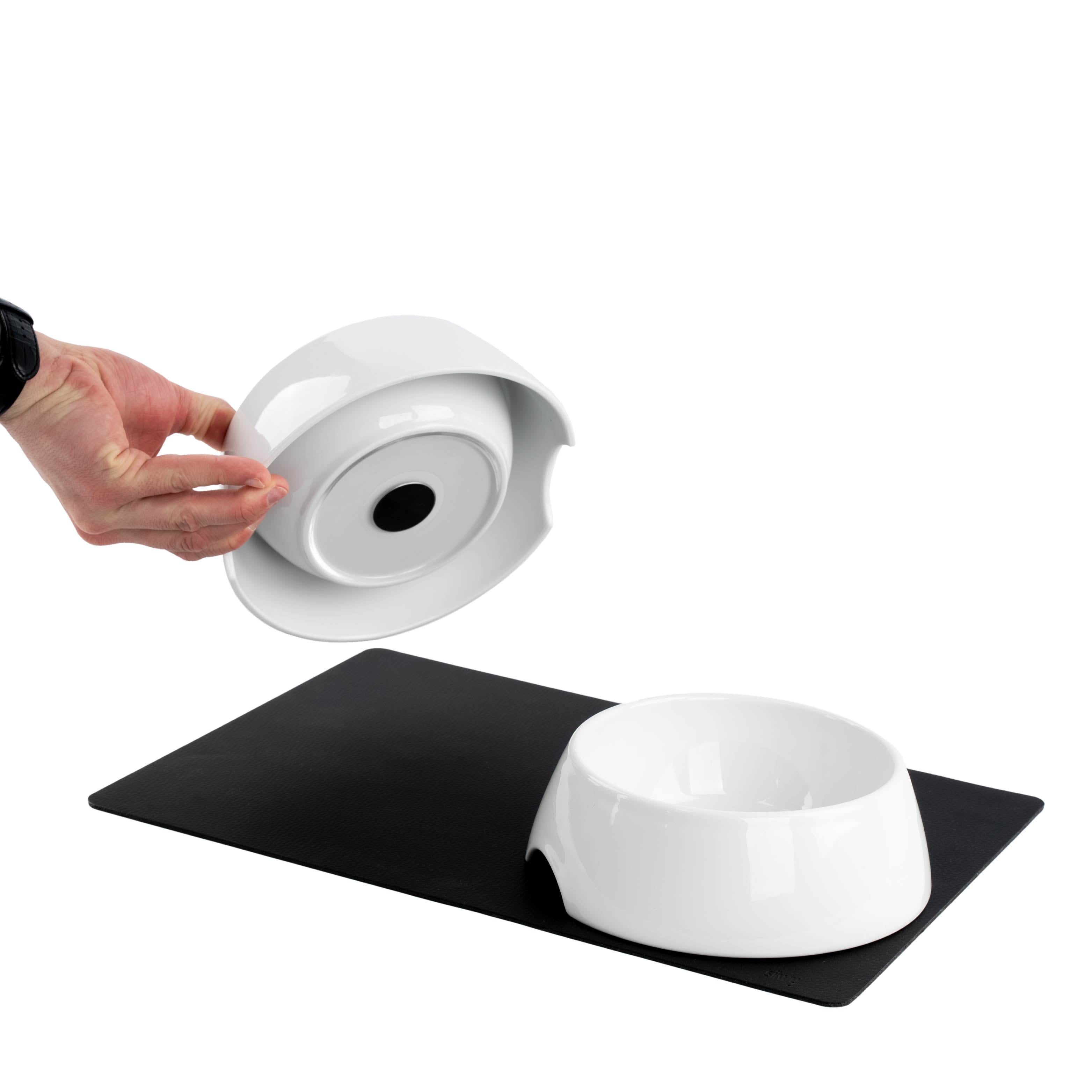 Magnetic porcelain feeding bowls including mat