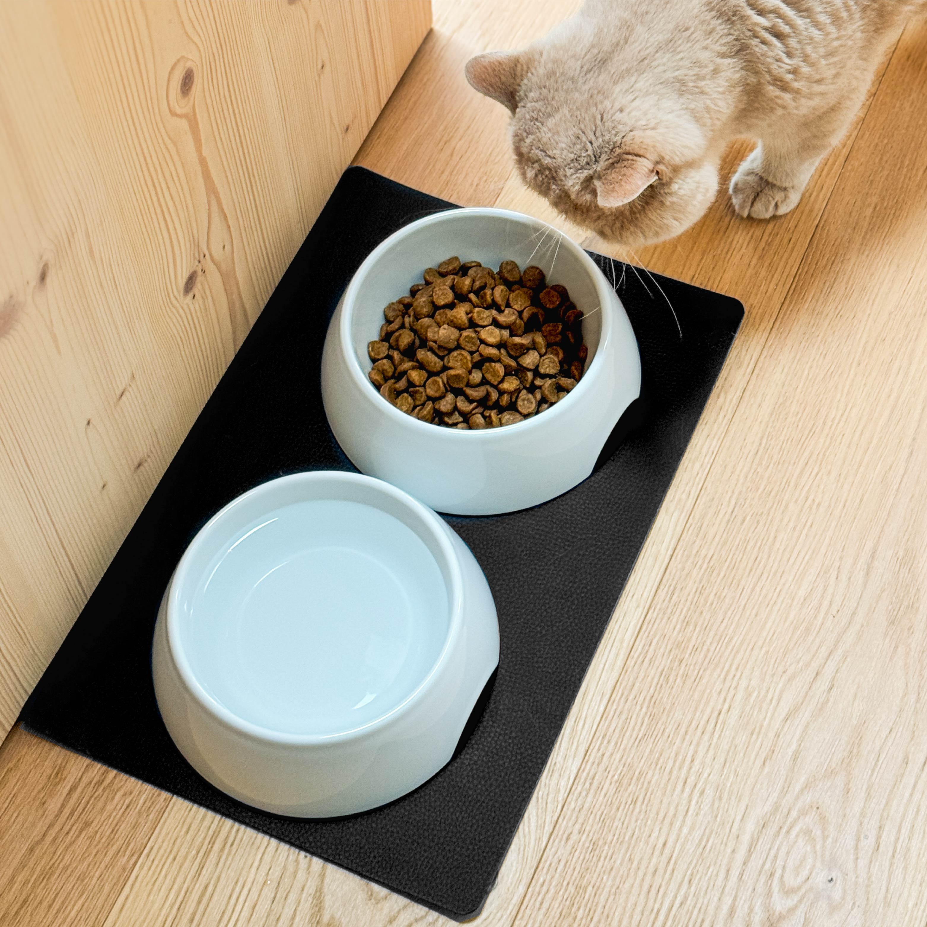 Magnetic porcelain feeding bowls including mat