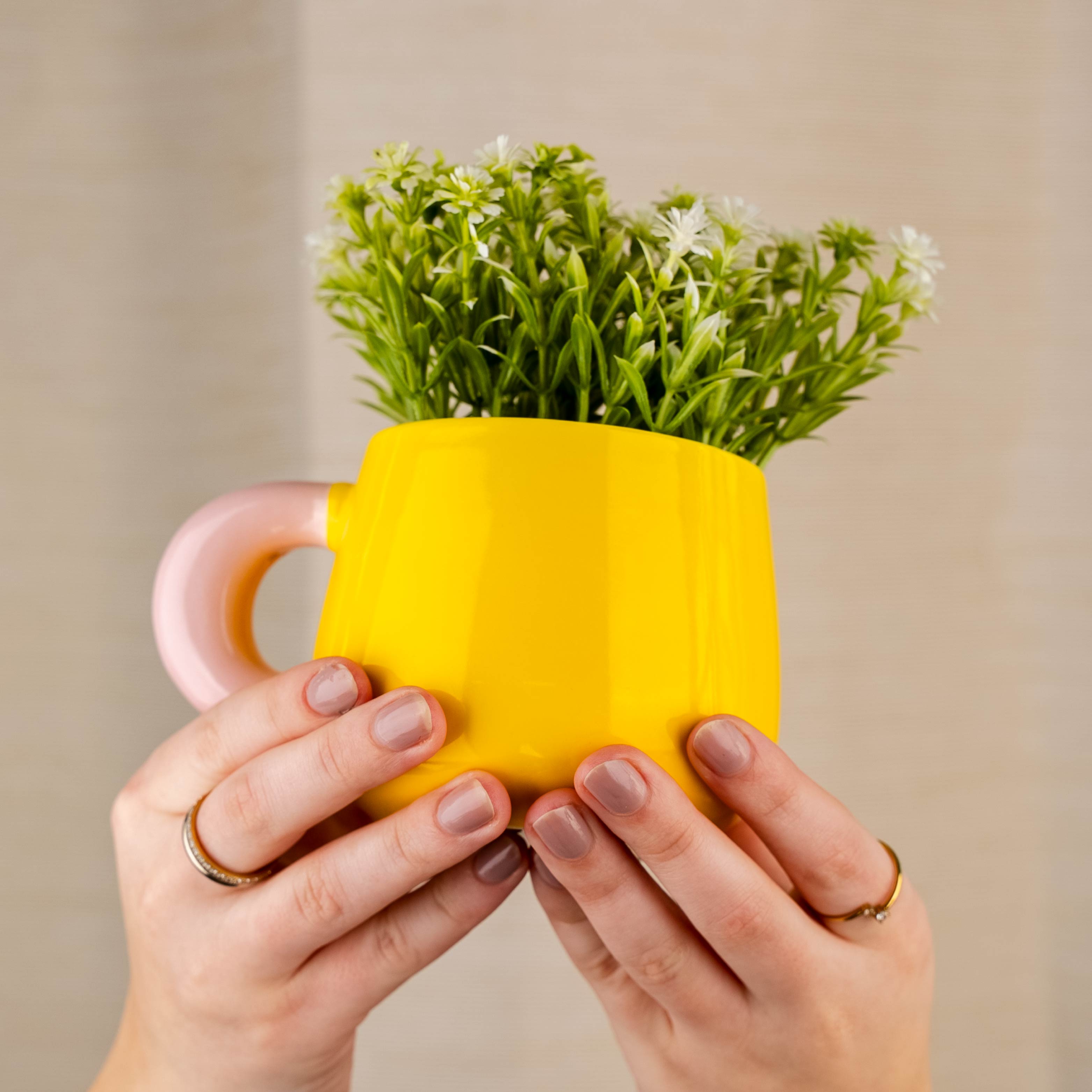 Magnet Henkel Pot CANDYLEMON