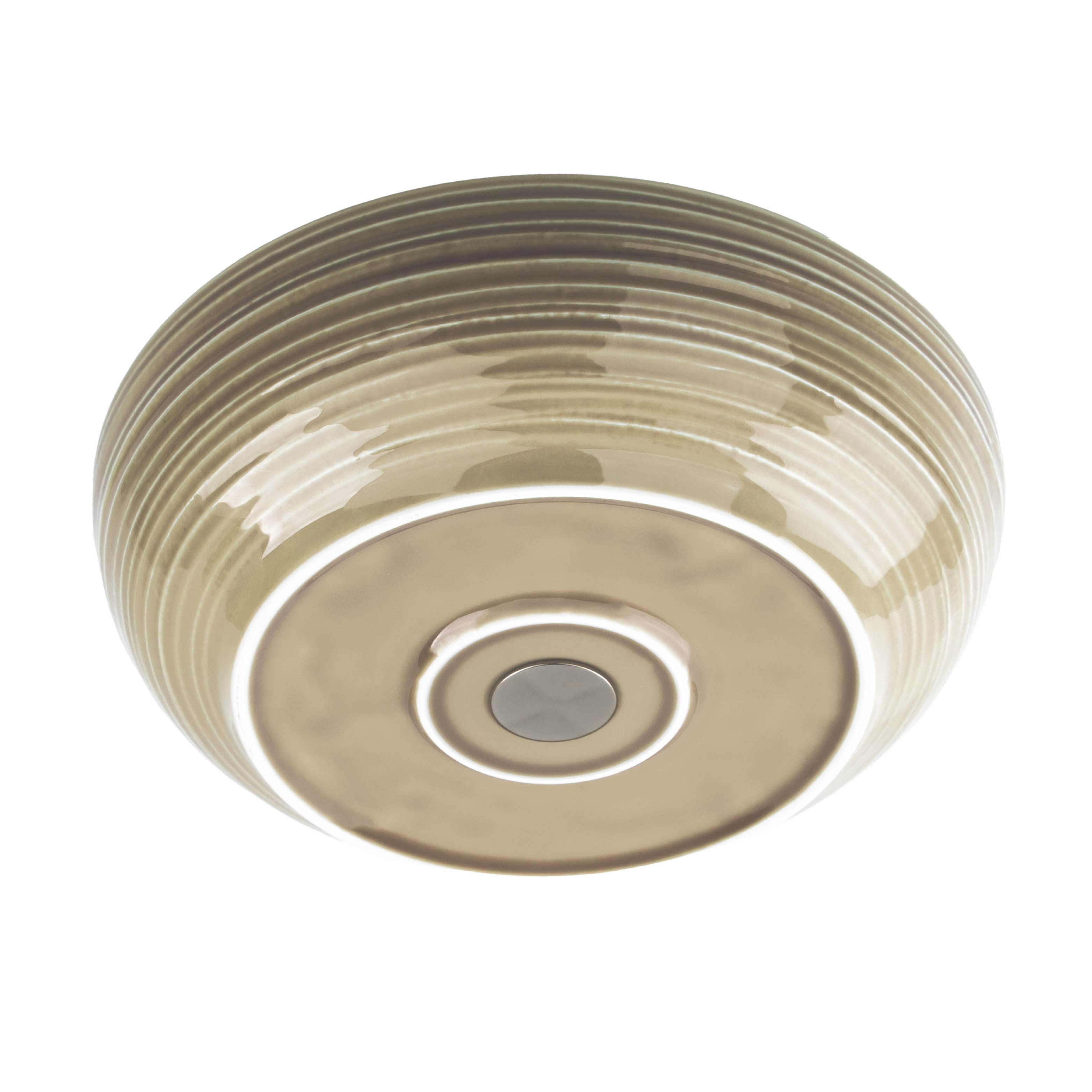 Cut-out of a magnetic food bowl