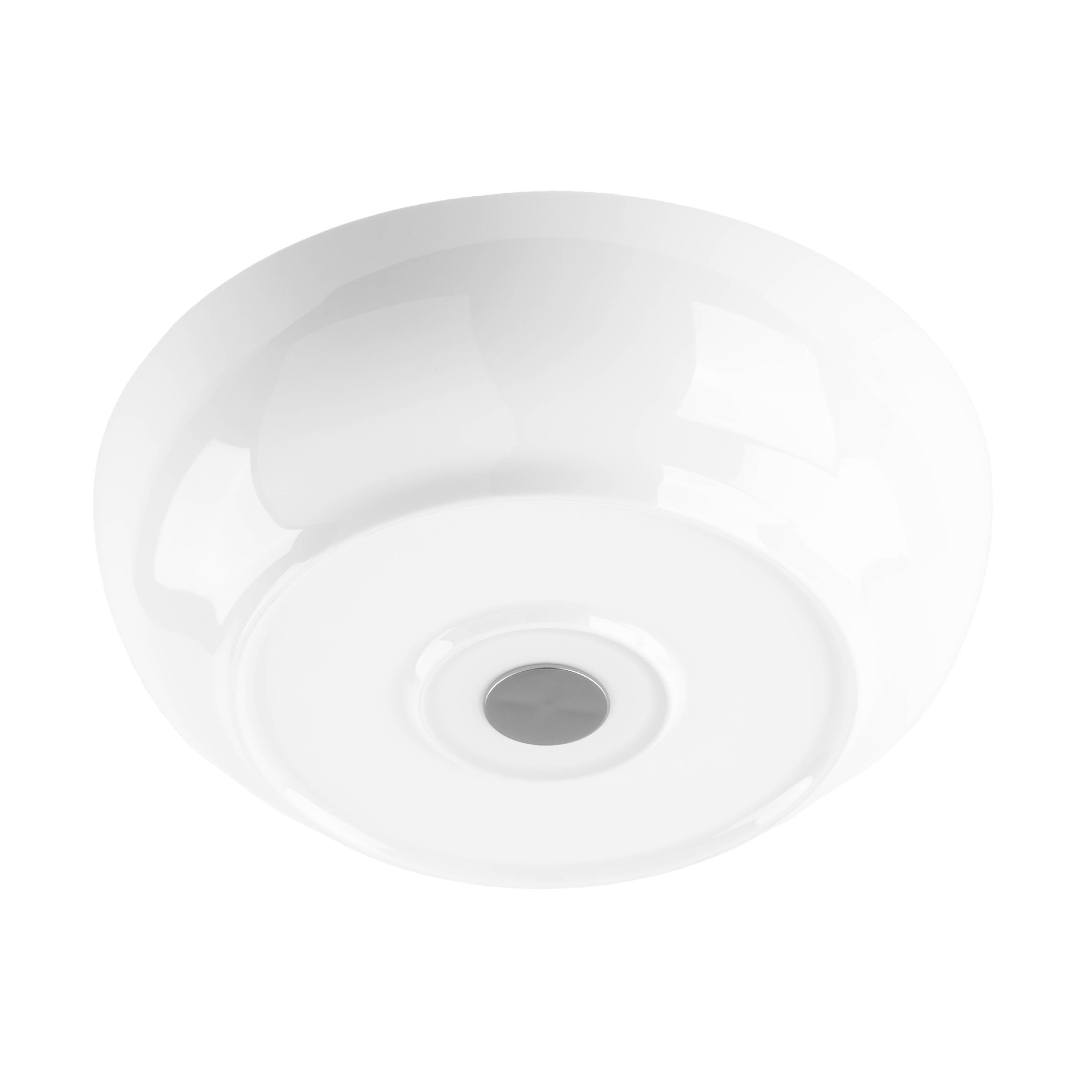 Cut-out of a magnetic food bowl