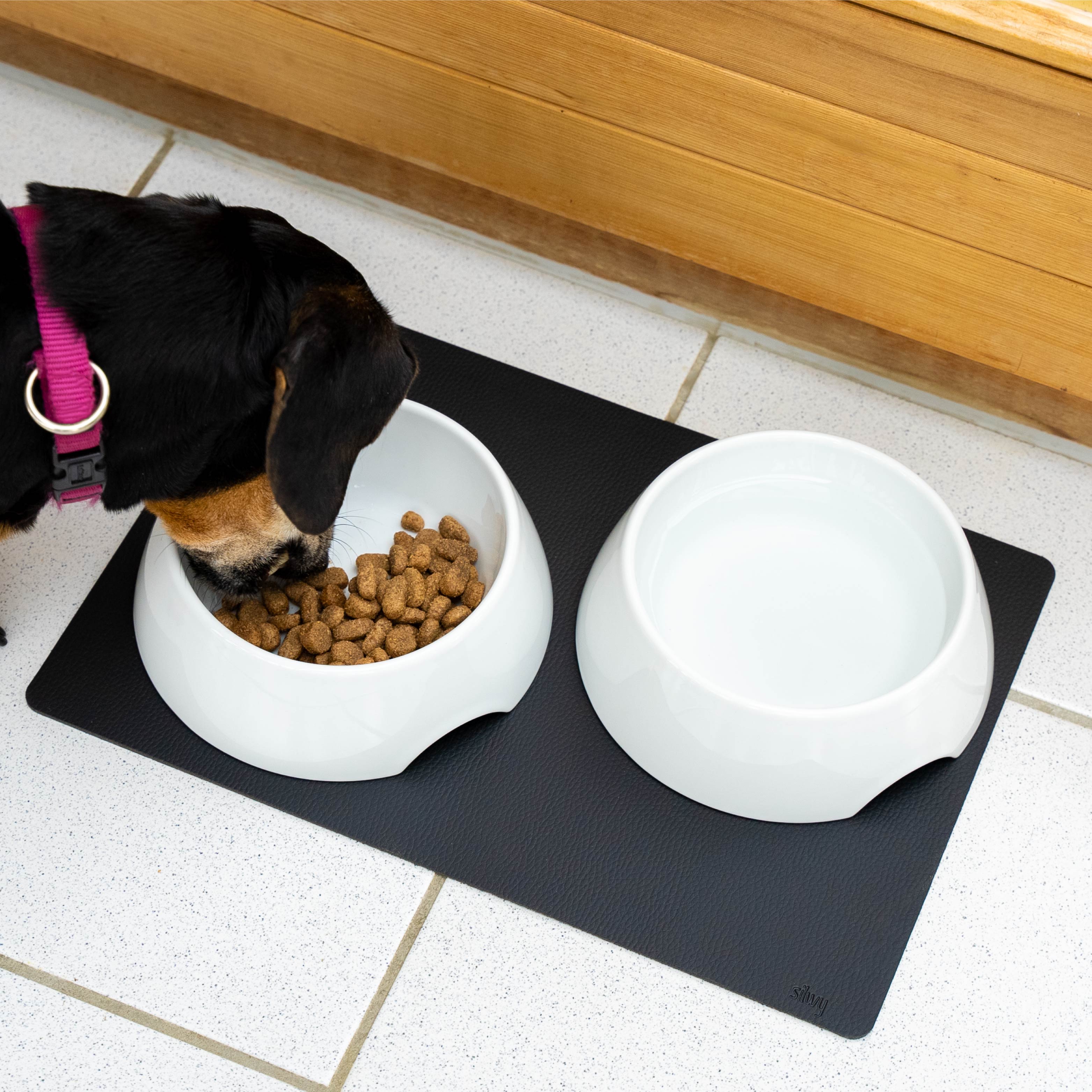 Dog eats from porcelain bowl with magnet, which is held in place by metal mat