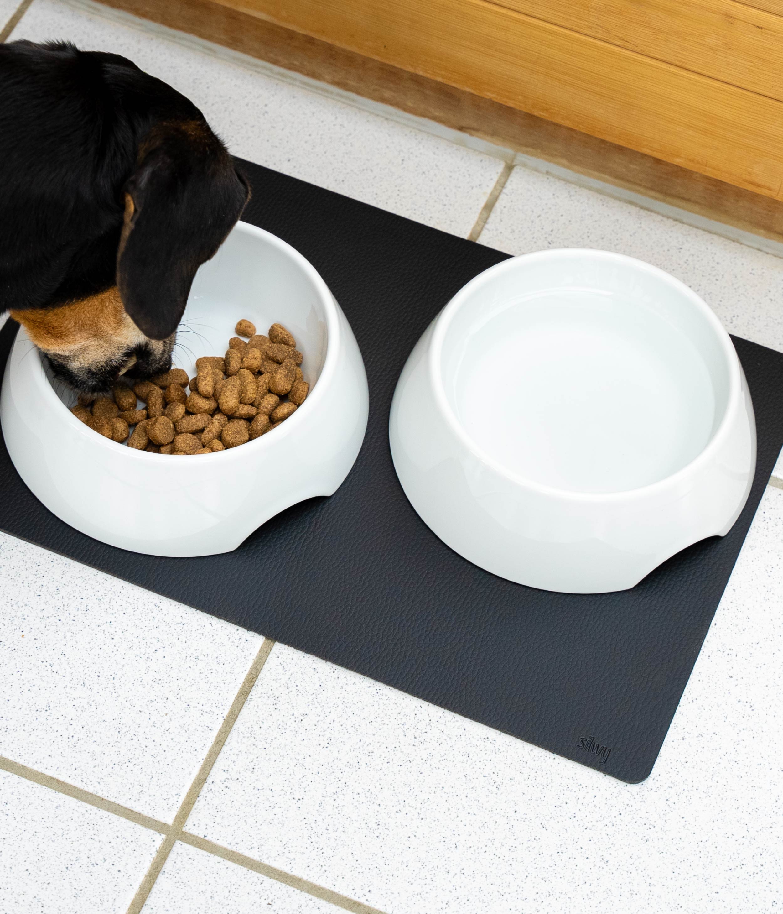 Dog eats from porcelain food bowls with magnet, which are held in place by a mat