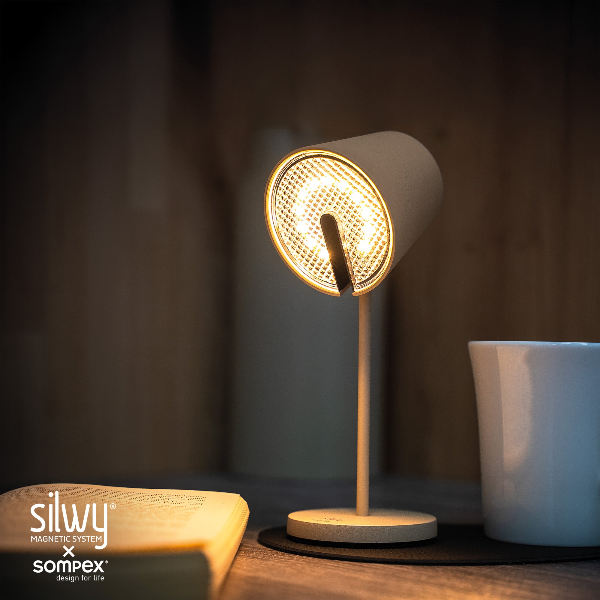 Light with swivel head