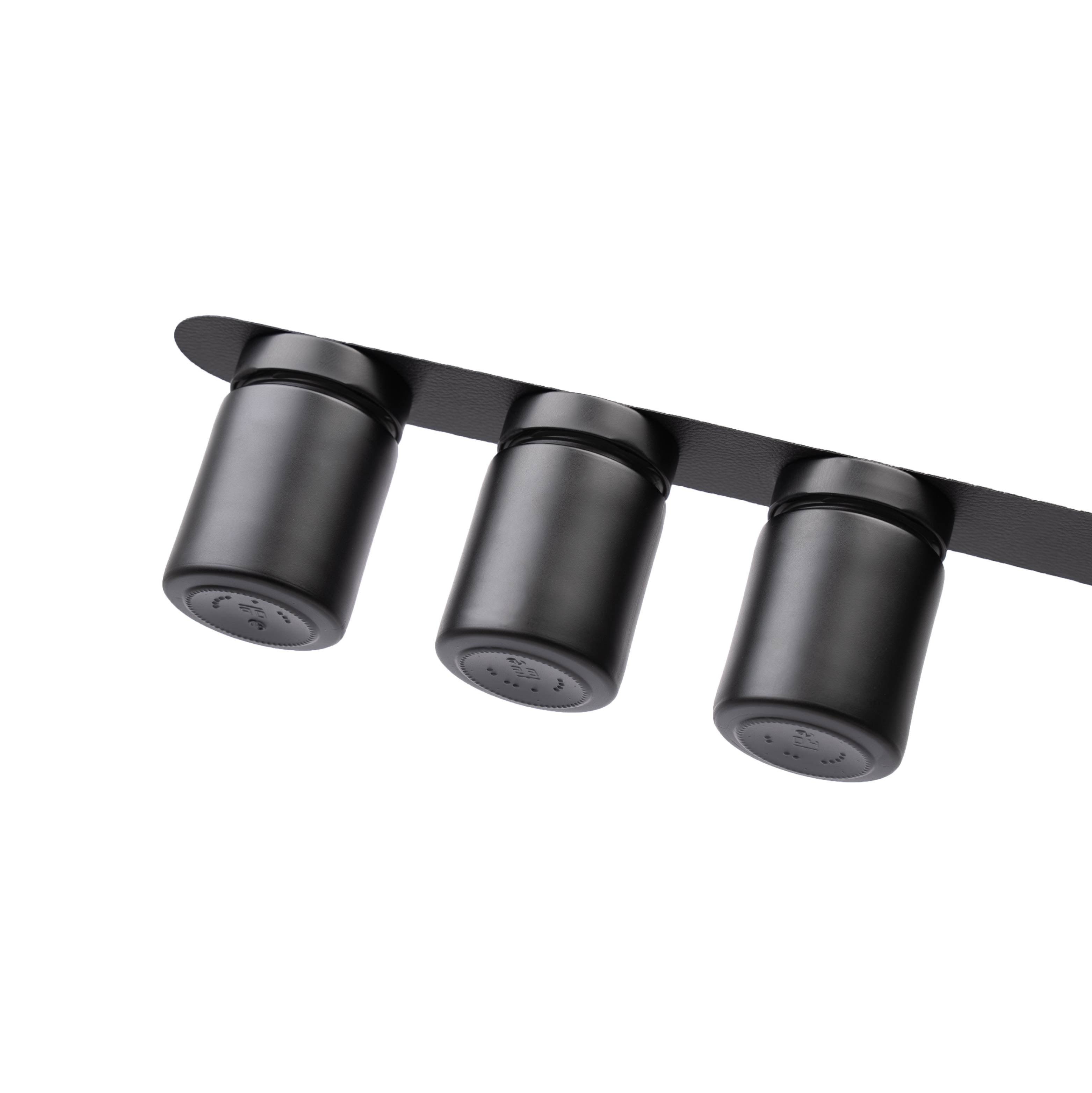 Magnetic deli jars mounted on strip (set of 3 with strip)