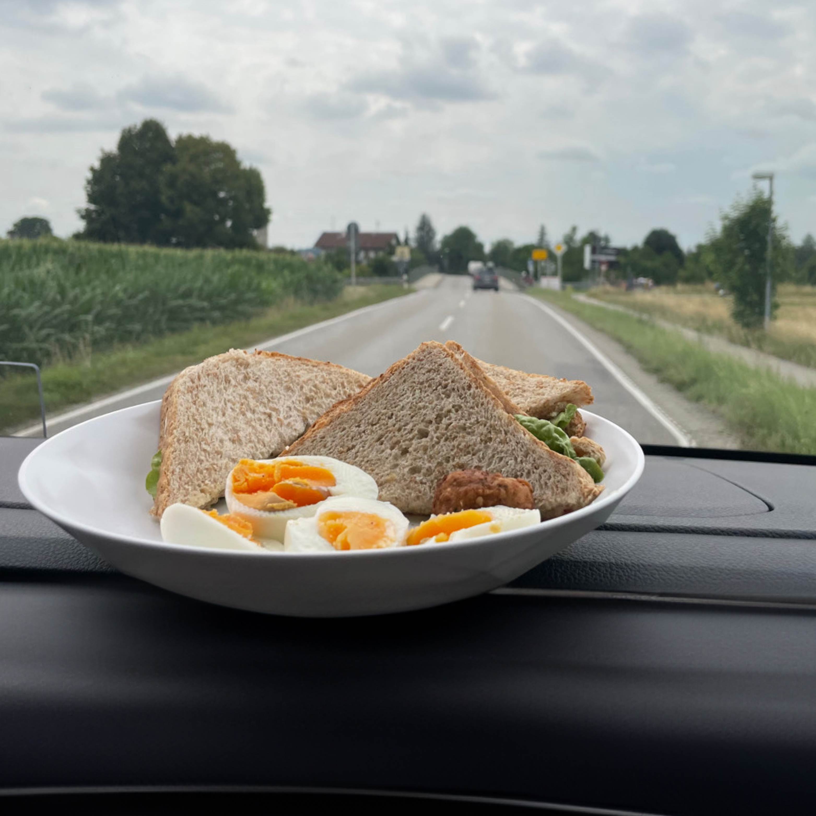 Assiettes en plastique magnétiques fixées sur pad sur le tableau de bord pendant le trajet